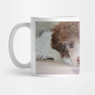 Toy Poodle Puppy Mug